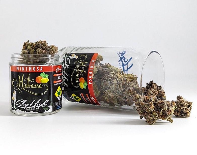 Mintmosa Cannabis Flower from Sky High Gardens