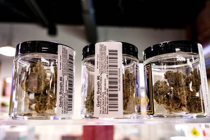 3 Garlic Breath #6 8ths