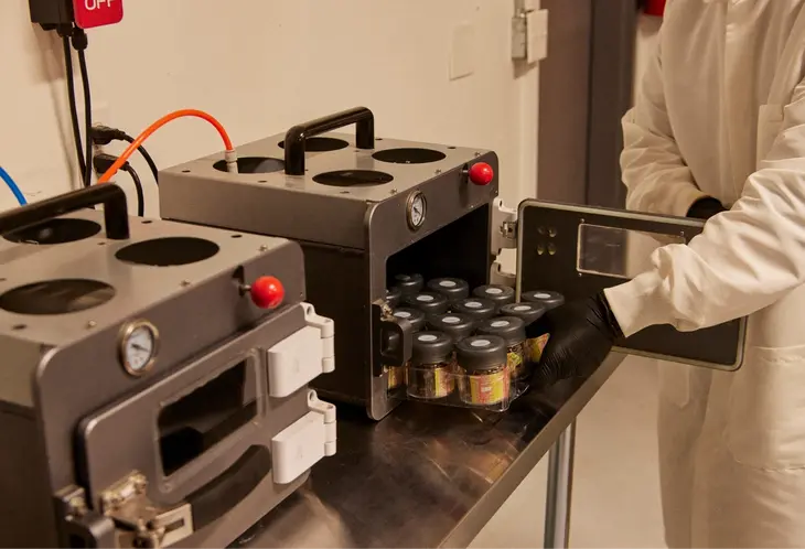 Torus Cannabis Processing and Packaging Their Product