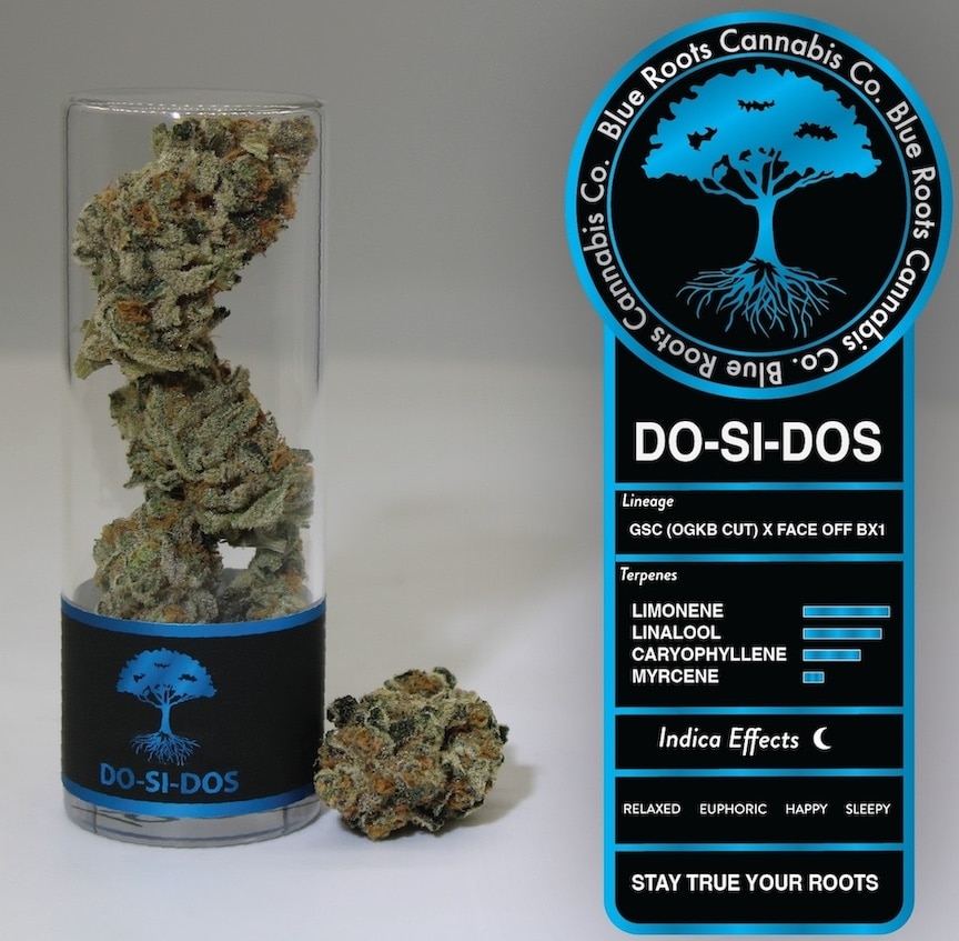 Blue Roots Cannabis Do Si Dos Dosidos Strain