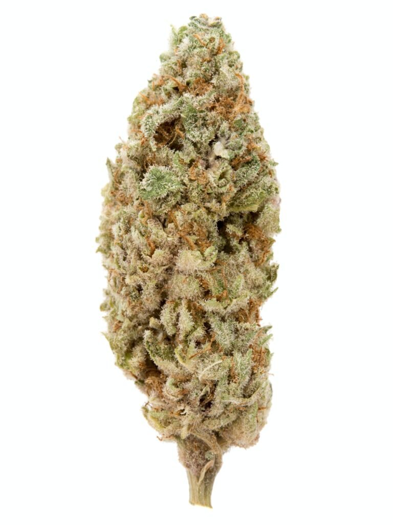 Ace of Spades Weed Strain