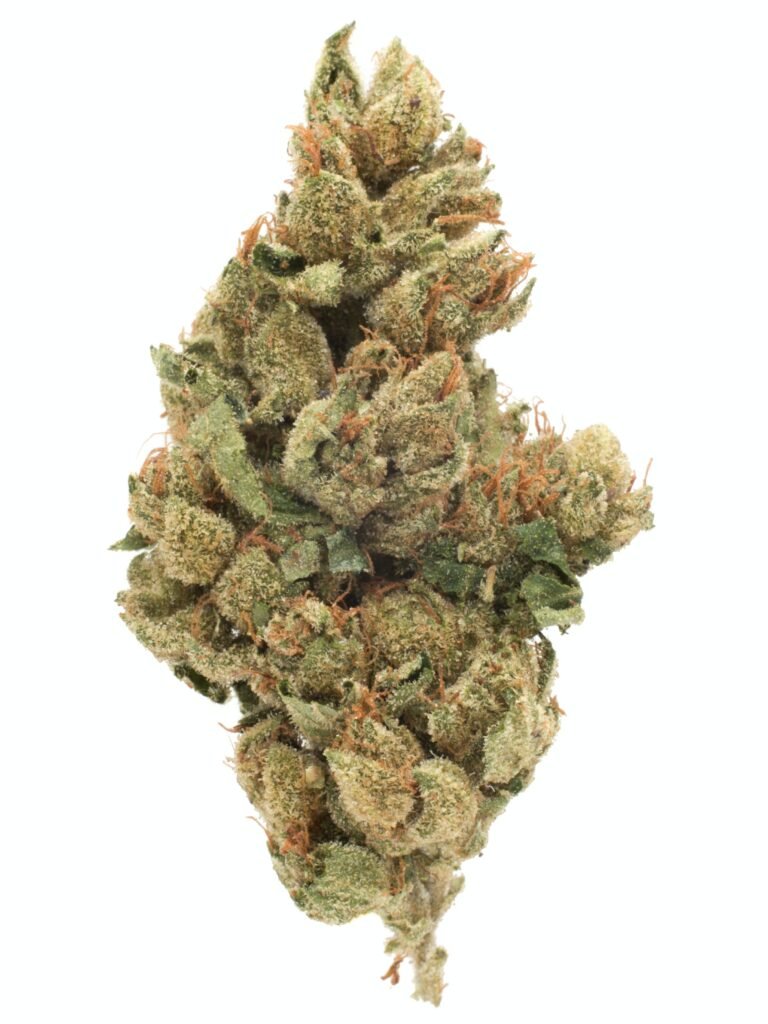 Alien Asshat Weed Strain