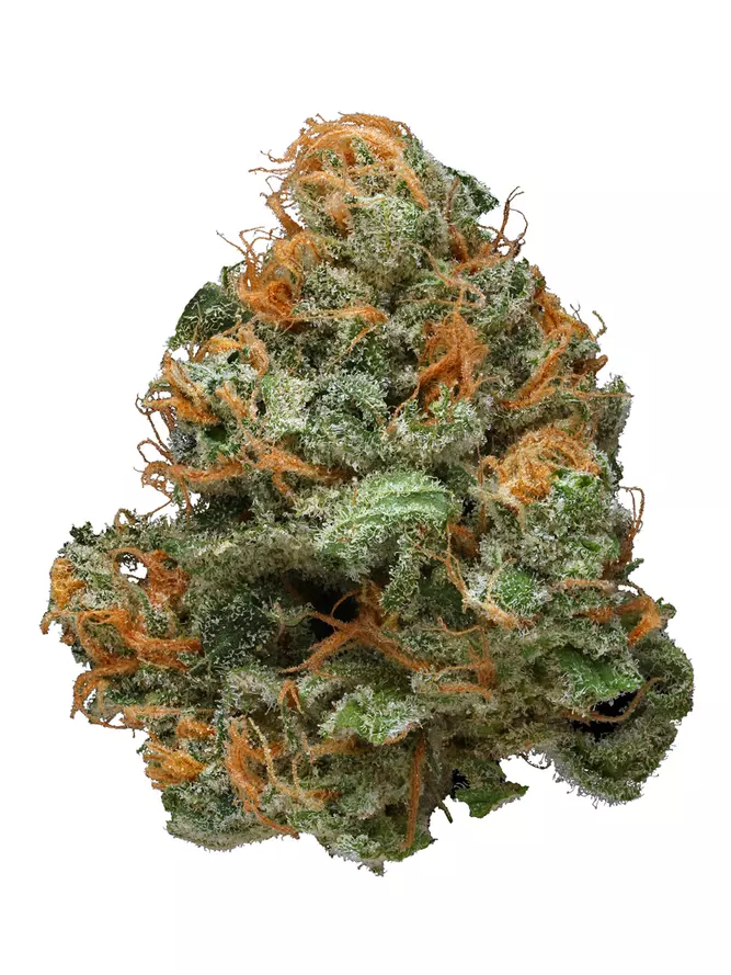 Blue Lights Cannabis Weed Nug