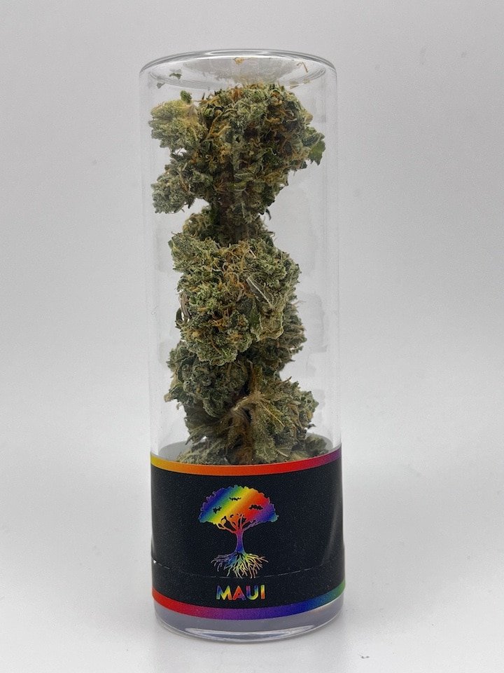 Maui 3.5g Blue Roots Cannabis Co.