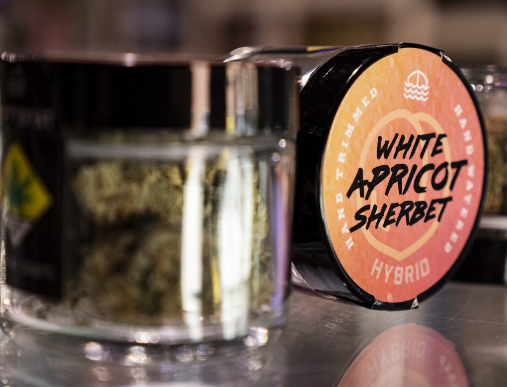 White Apricot Sherbet Weed Strain by Driftboat