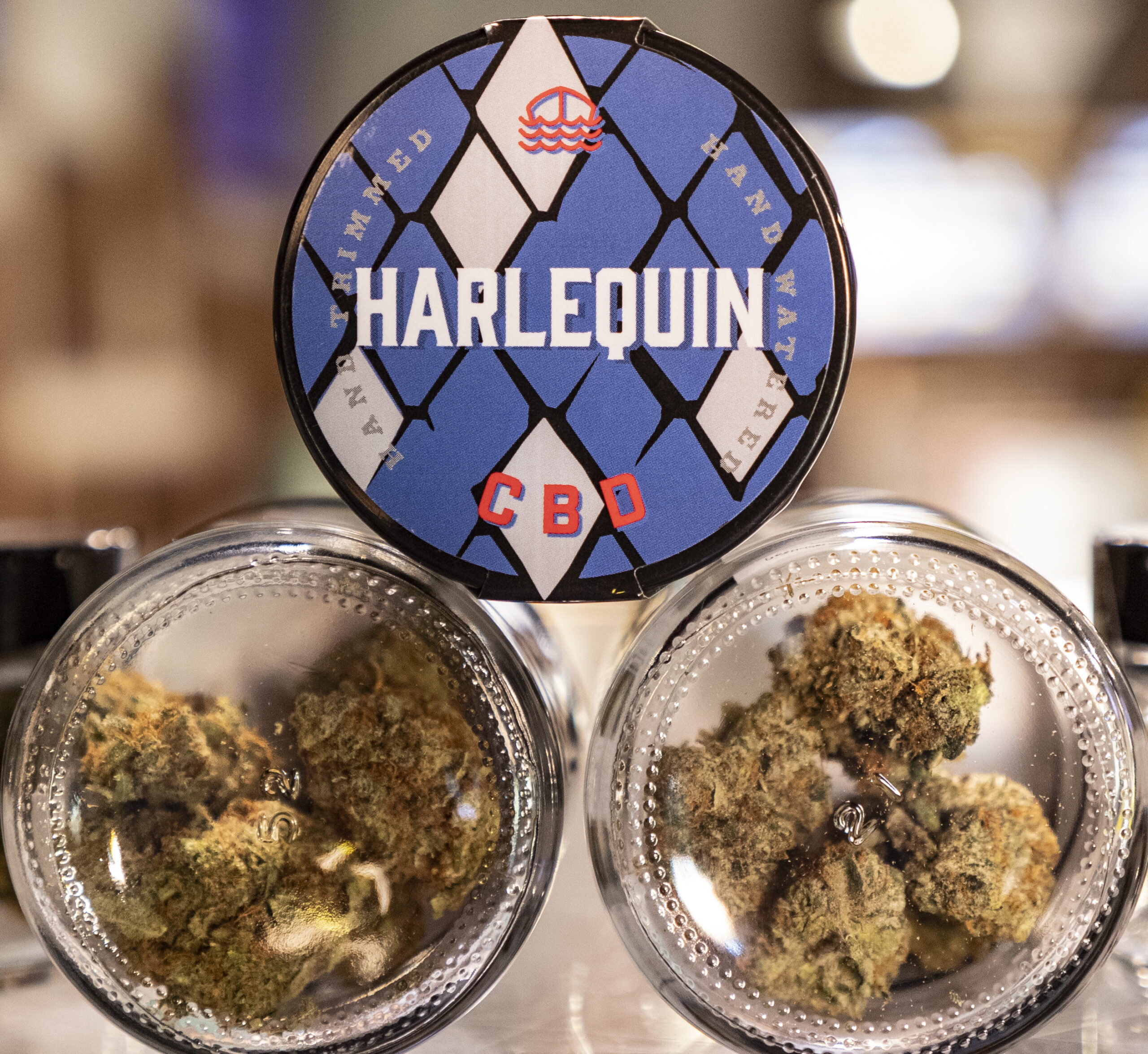 Harlequin Weed Strain by Driftboat