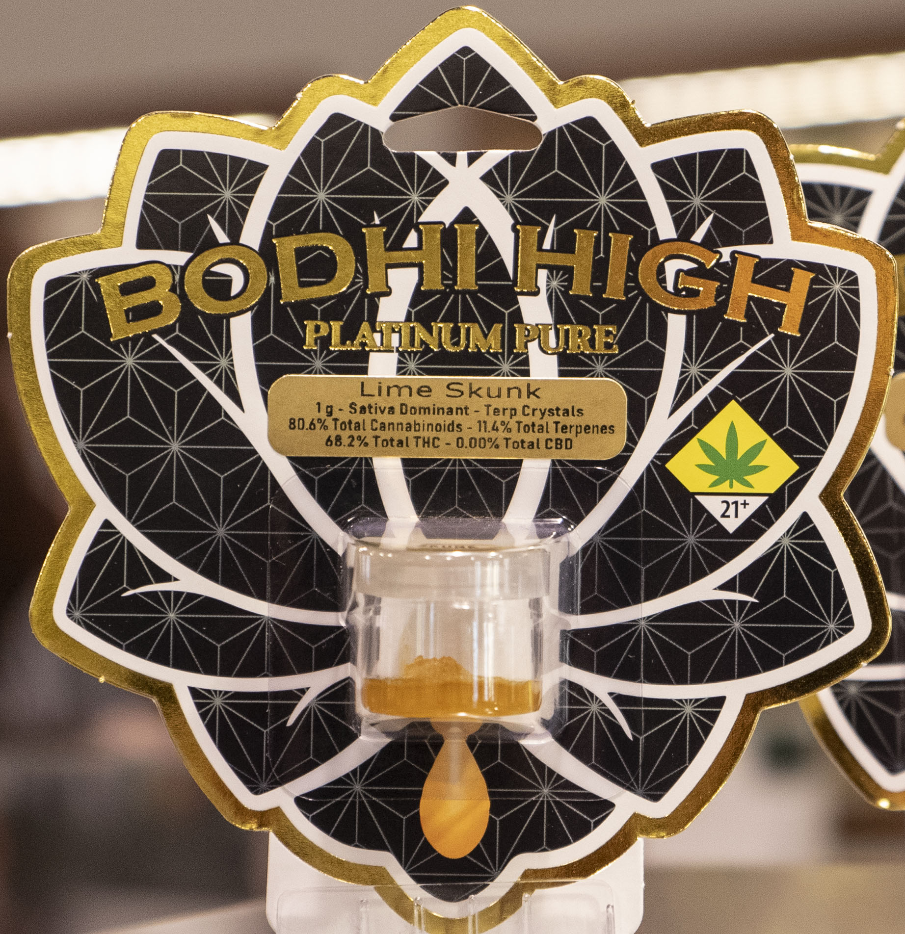 CinderLimeSkunkBodhiPlatSpokane