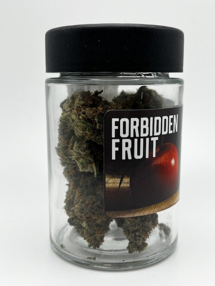 Forbidden Fruit Flower from Root Down in a Recyclable Glass Jar