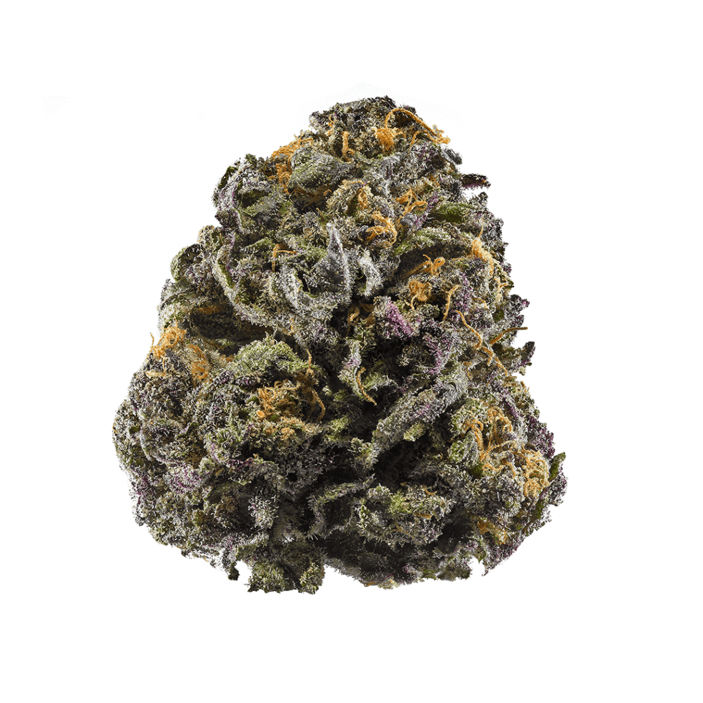 Granddaddy Purple Weed Strain