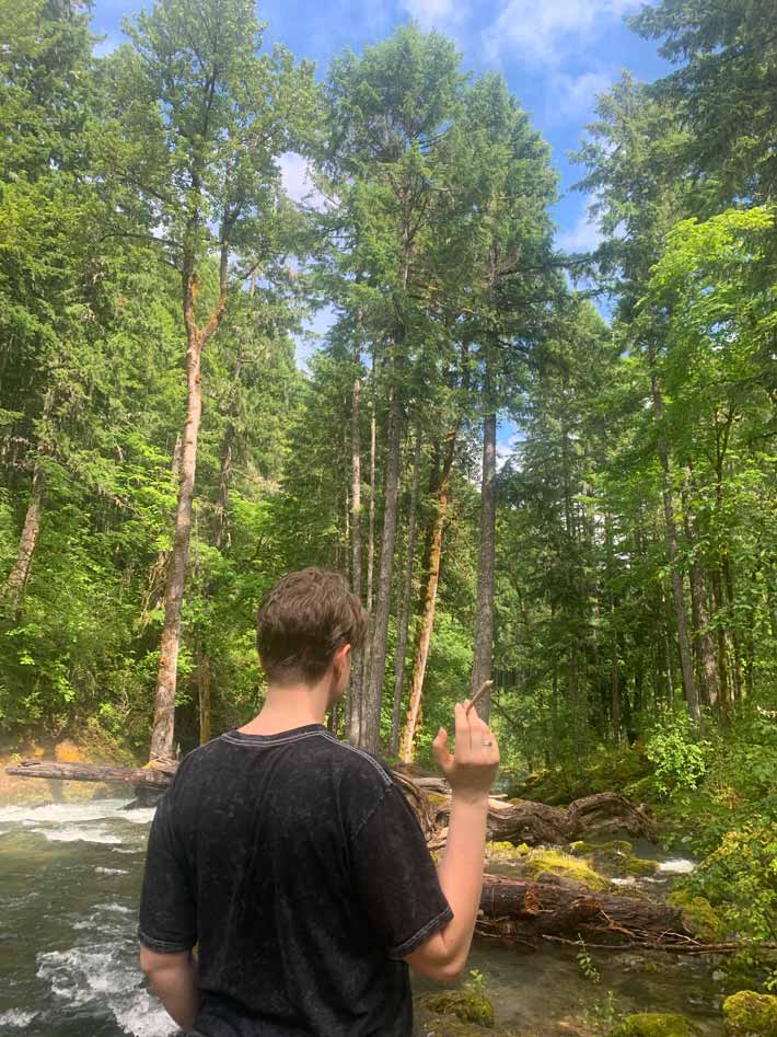 Person Smoking a Joint in the Forest