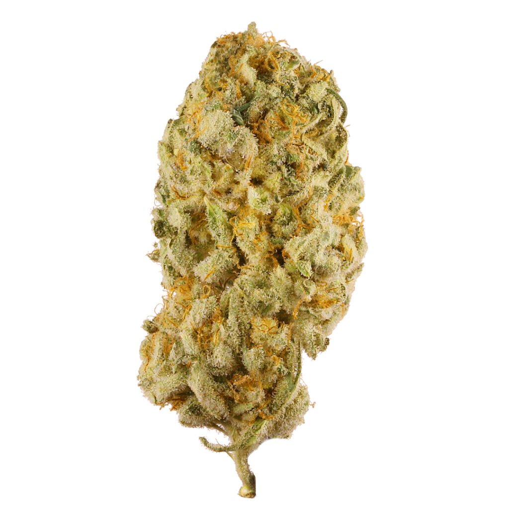 Jack Herer Weed Flower for Workout