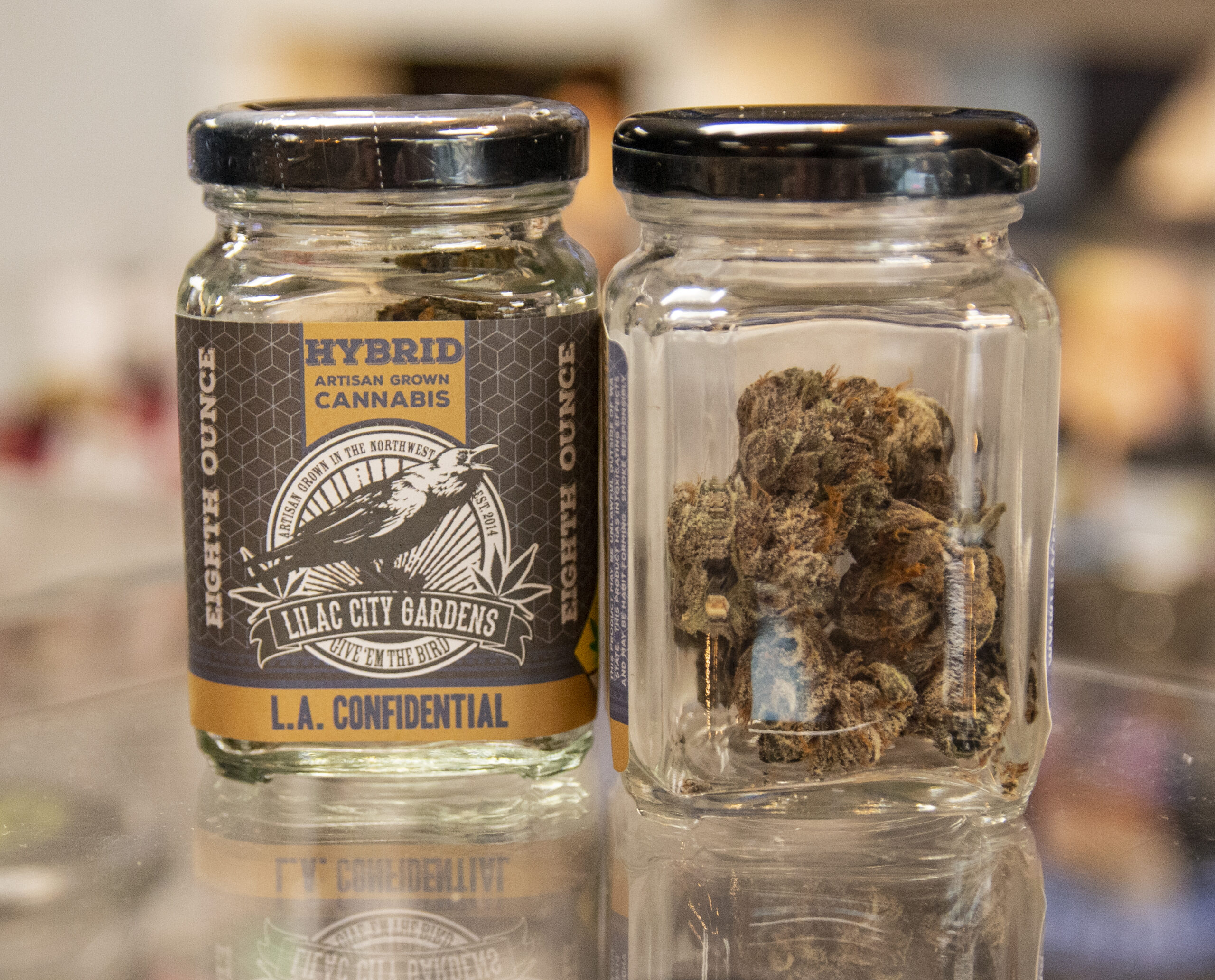 LilacCityGardensCinderKey