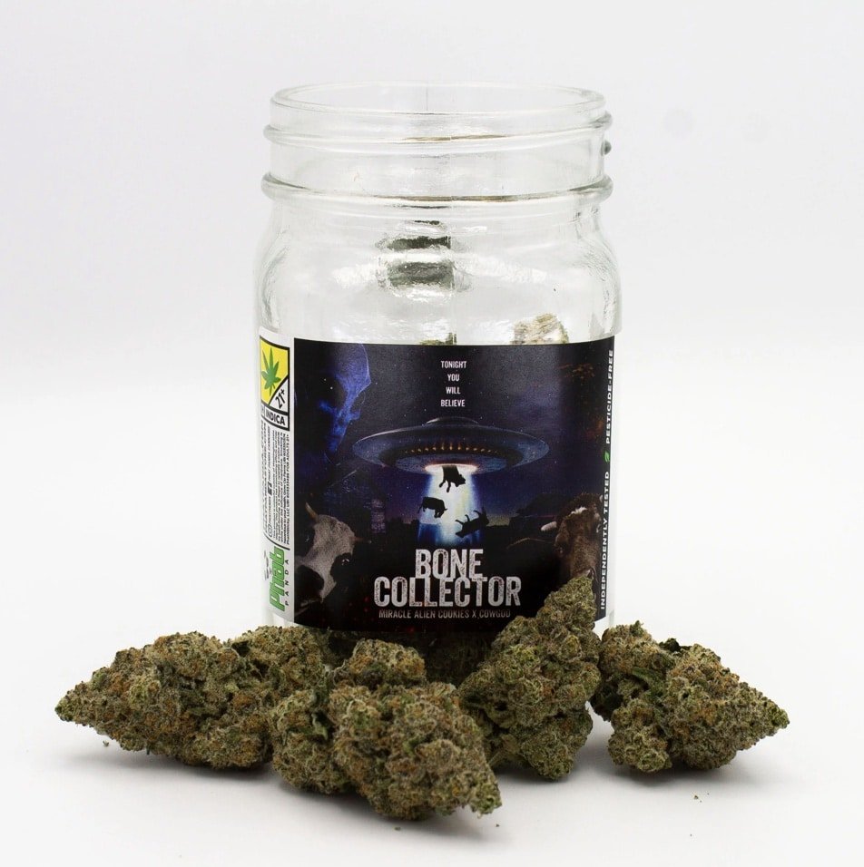 Bone Collector Cannabis Strain from Phat Panda