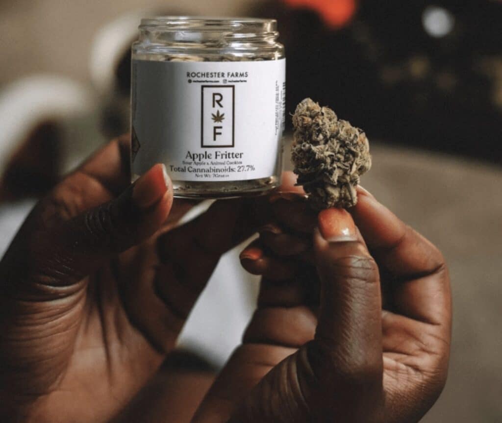 Apple Fritter Cannabis Strain from Rochester Farms