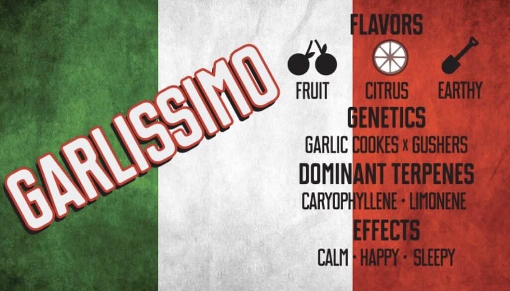 Garlissimo Cannabis Strain from Root Down