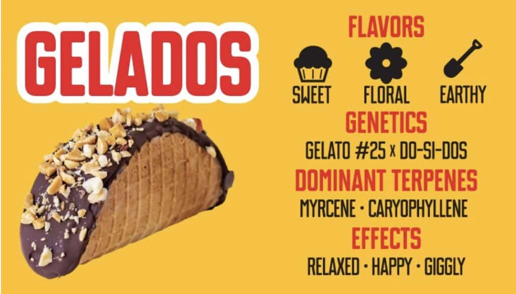 Gelados Cannabis Strain from Root Down