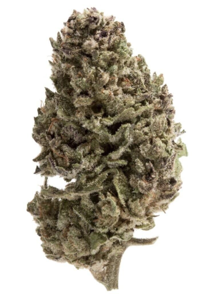 Blue Magoo Cannabis Weed Nug