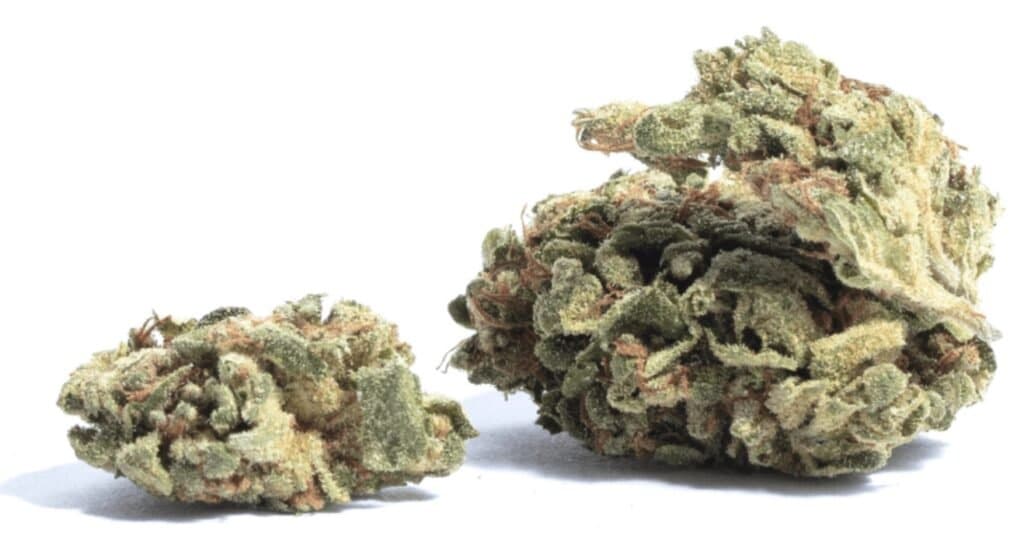 Blue Frost Cannabis Weed Nug