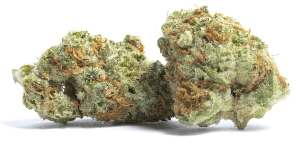 Blood Orange Cannabis Weed Nug