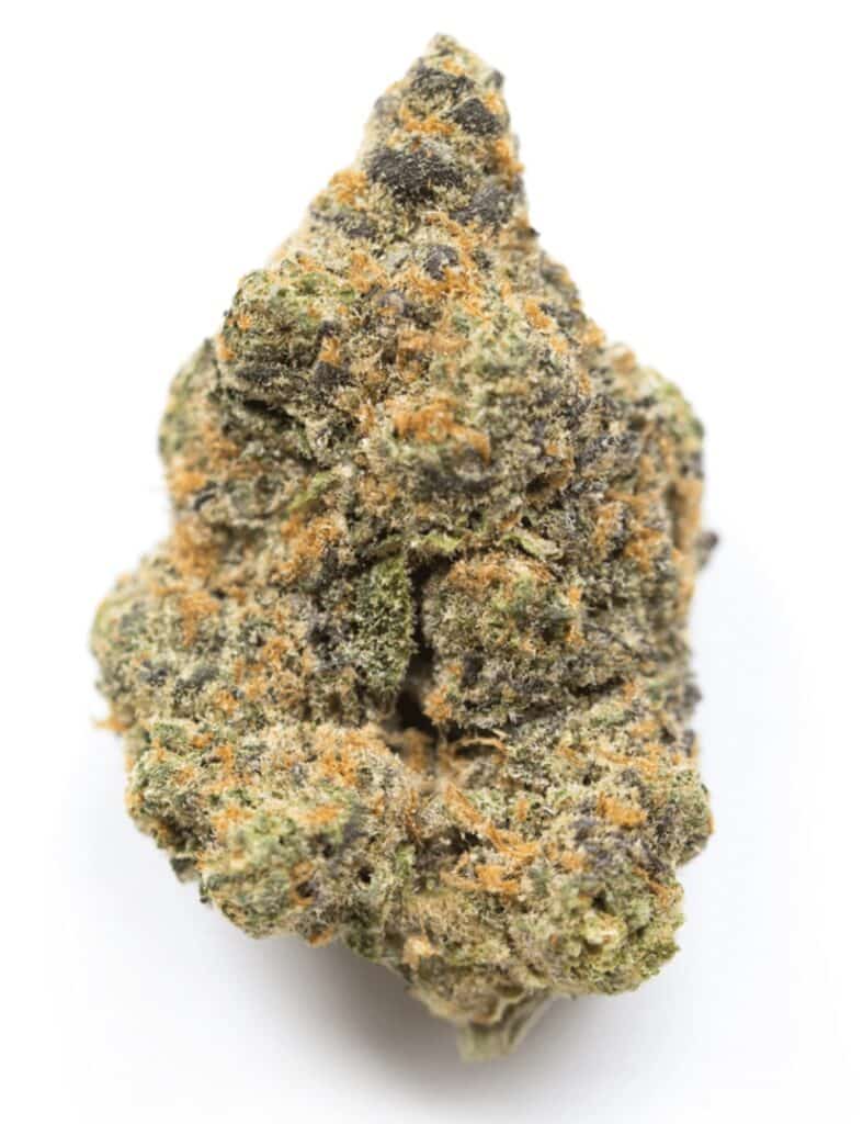 Blackberry Lime Haze Cannabis Weed Strain Nug