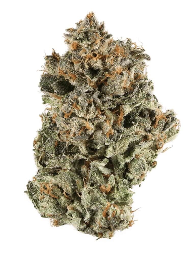 Blackberry Kush Cannabis Weed Strain nug