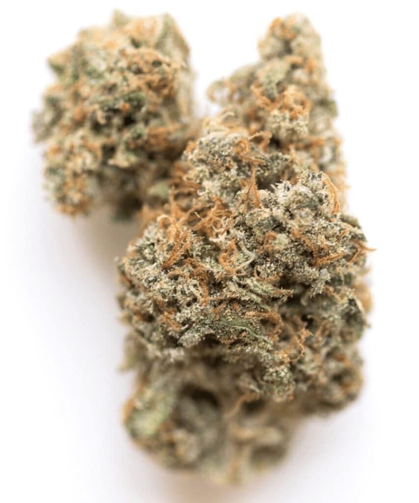 Biscotti Cannabis Weed Strain Nug