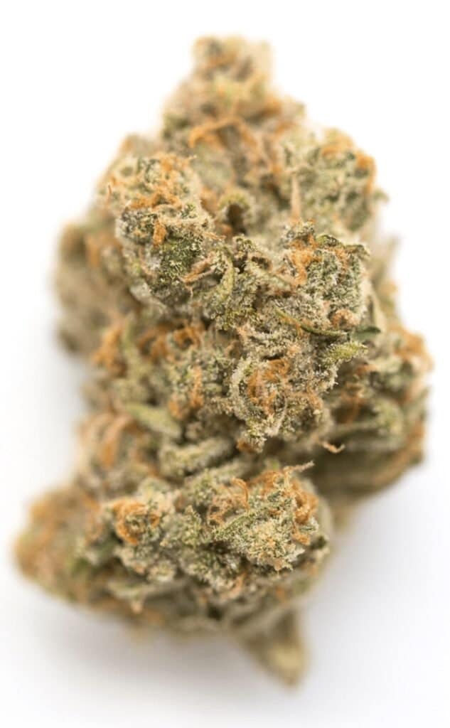 Birthday Cake Cannabis Weed Strain Nug