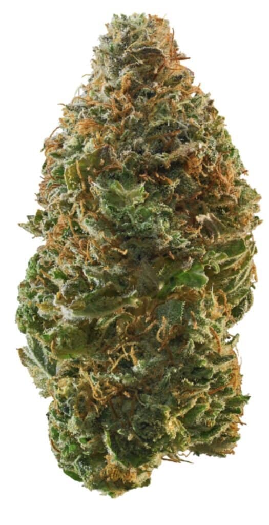 Big Bang Cannabis Weed Strain Nug