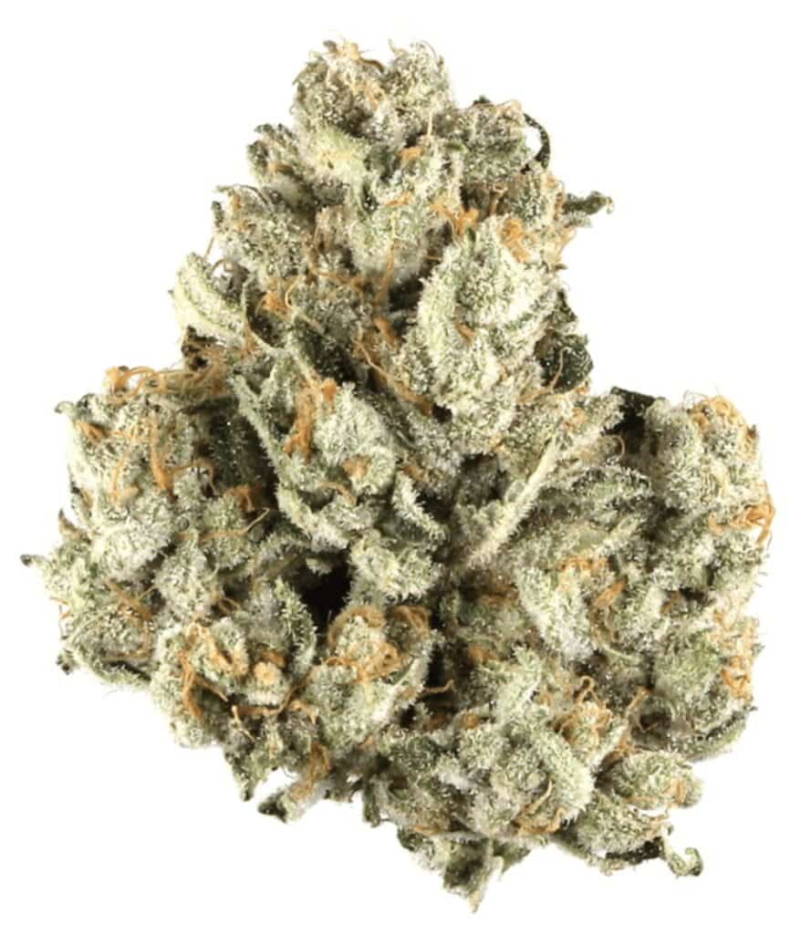 Berry Pie Cannabis Weed Strain Nug