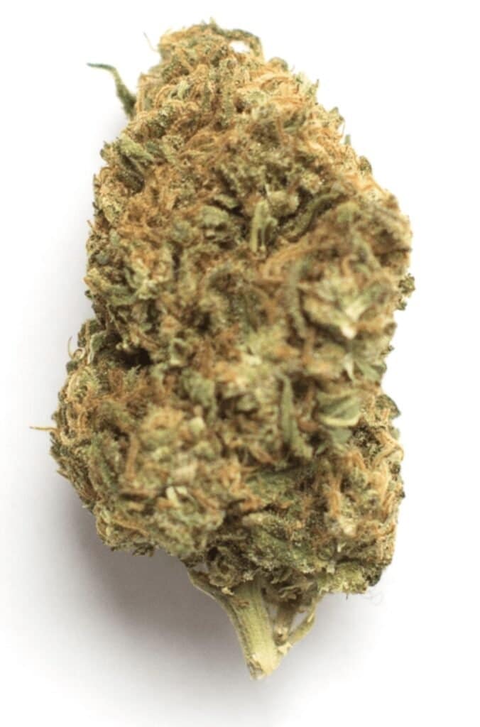 Banana Runtz Cannabis Weed Strain Nug