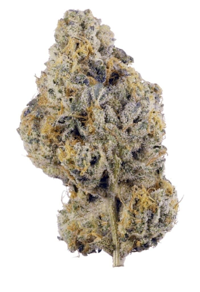 Banana Cookies Cannabis Weed Strain Nug