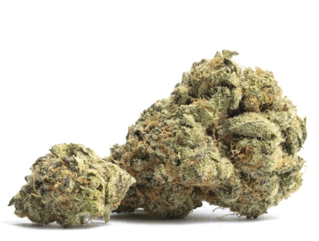 Bacio Gelato Weed Cannabis Nug Strain