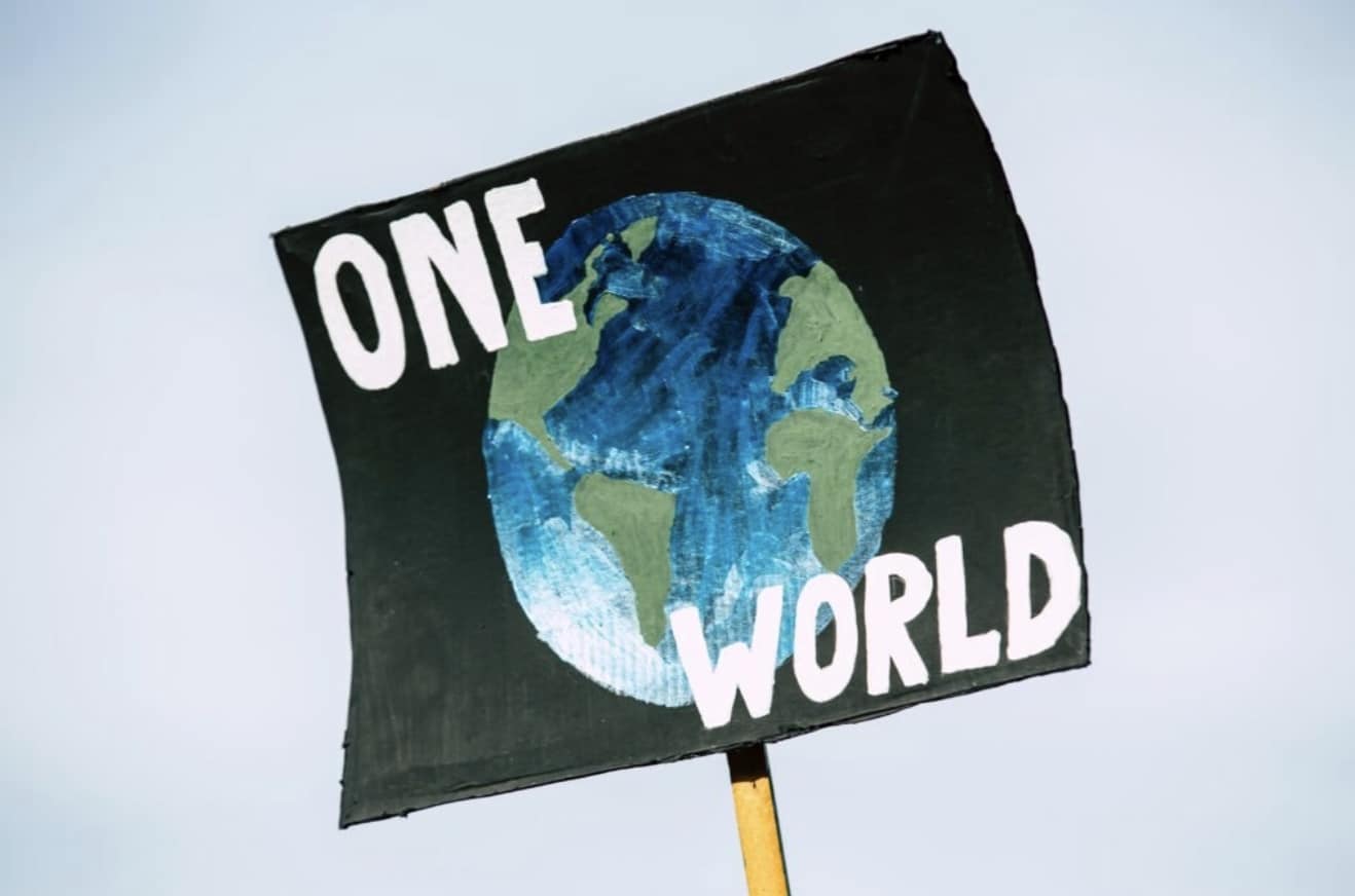 "One World" Earth Day Picket Sign
