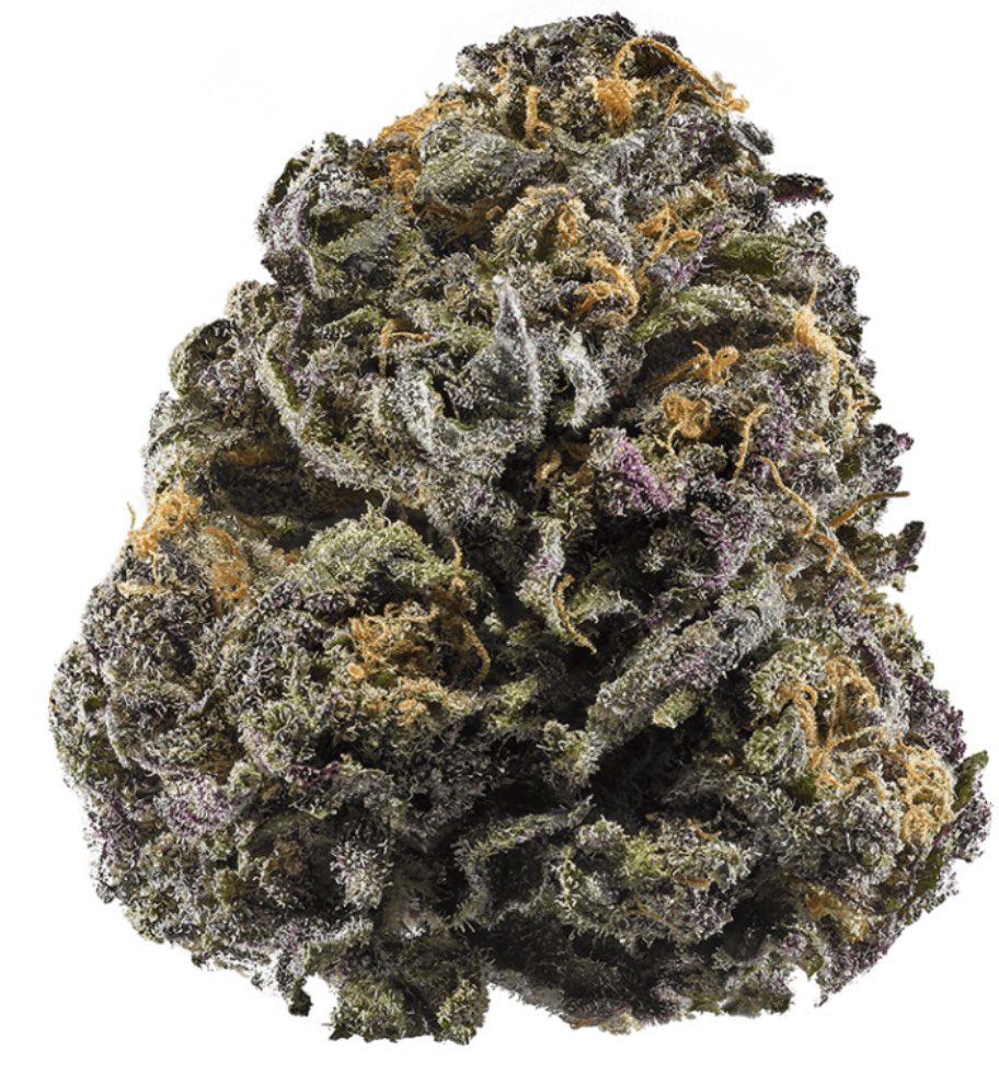 Granddaddy Purple Rainy Day Strain