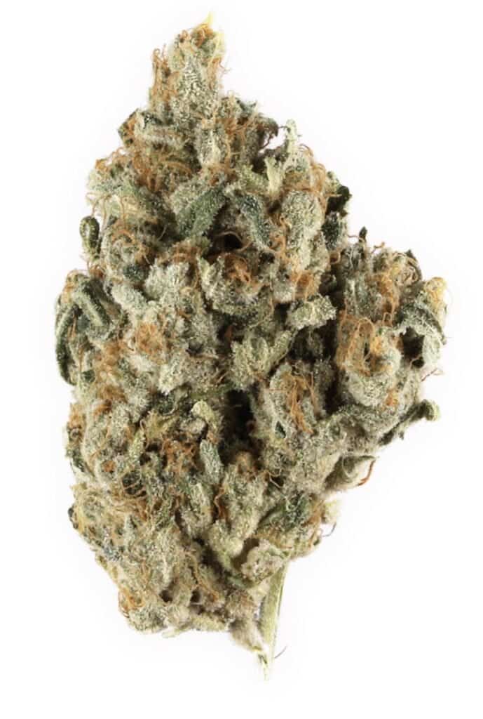 Blueberry Trainwreck Rainy Day Strain