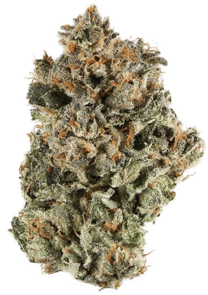 Blackberry Kush Rainy Day Strain