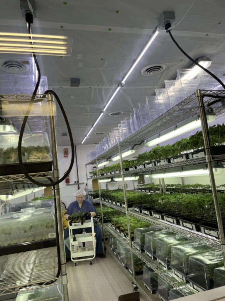 Phat Panda Cannabis Cloning Room