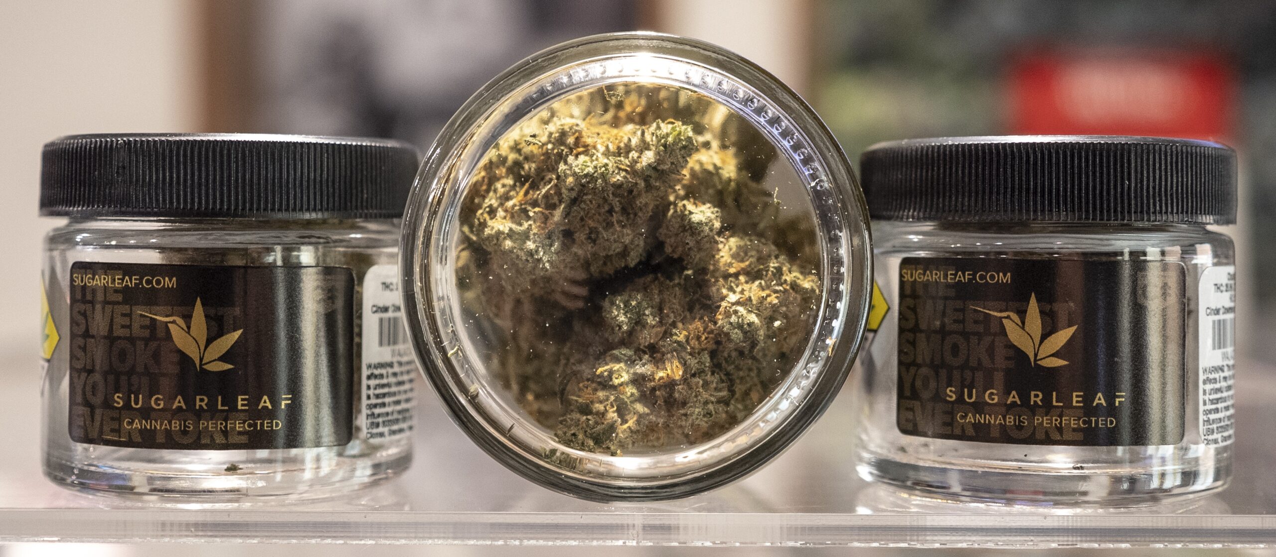 SugarLeafFeaturedSpokaneCinder