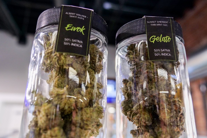 Sugarleaf 14gs of Ewok and Gelato