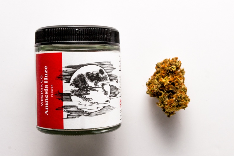 Amnesia Haze Weed Strain From Virginia Co.
