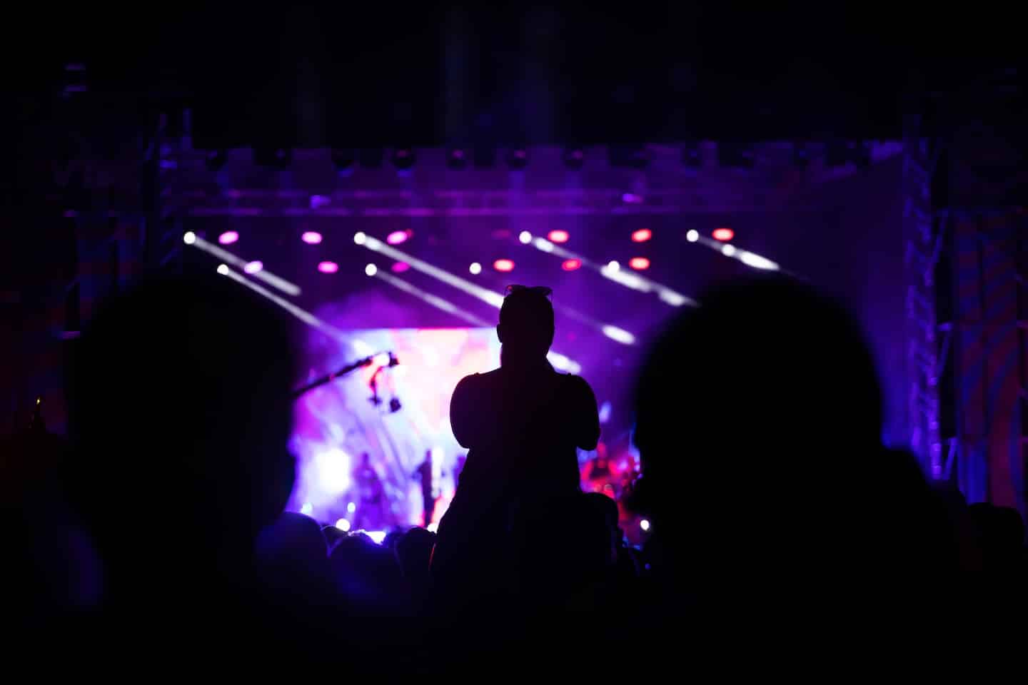 Silhouettes of crowd at a concert in a theater