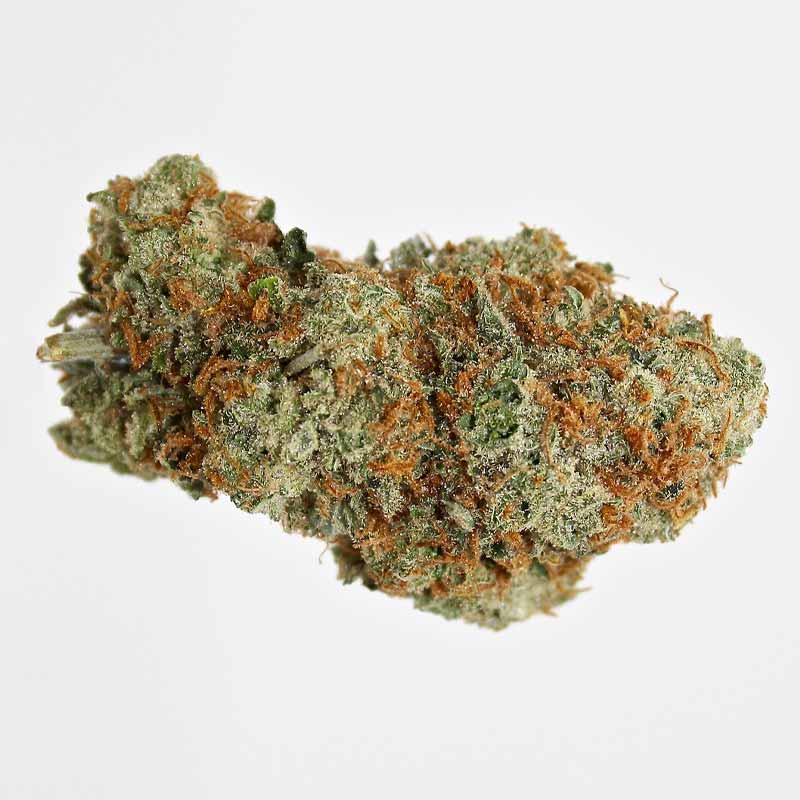 Aussie Blue Weed Strain Lookalike