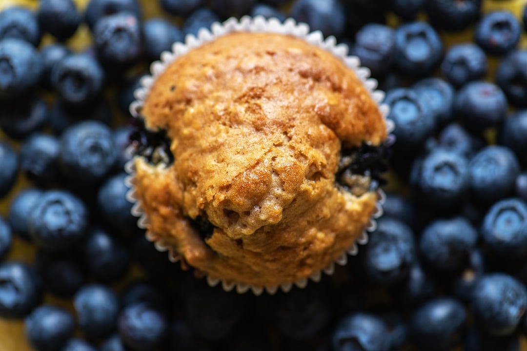 Blueberry Muffin
