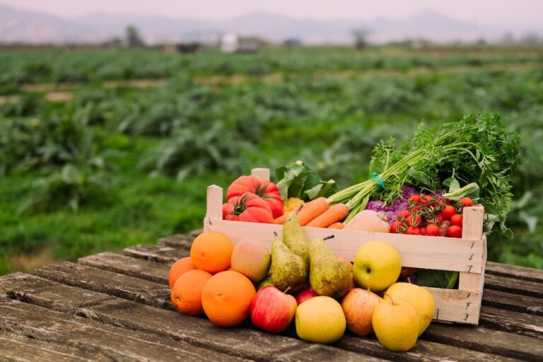 Box Full of Fruits and Vegetables