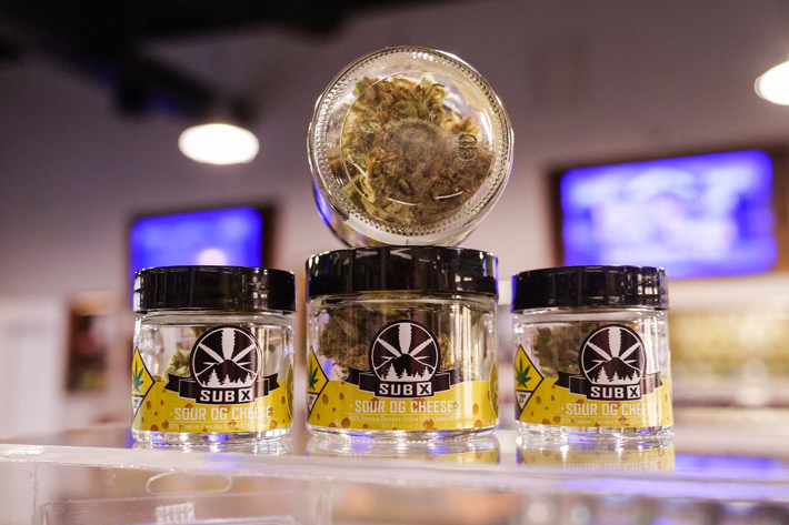 Sour OG Cheese flower display