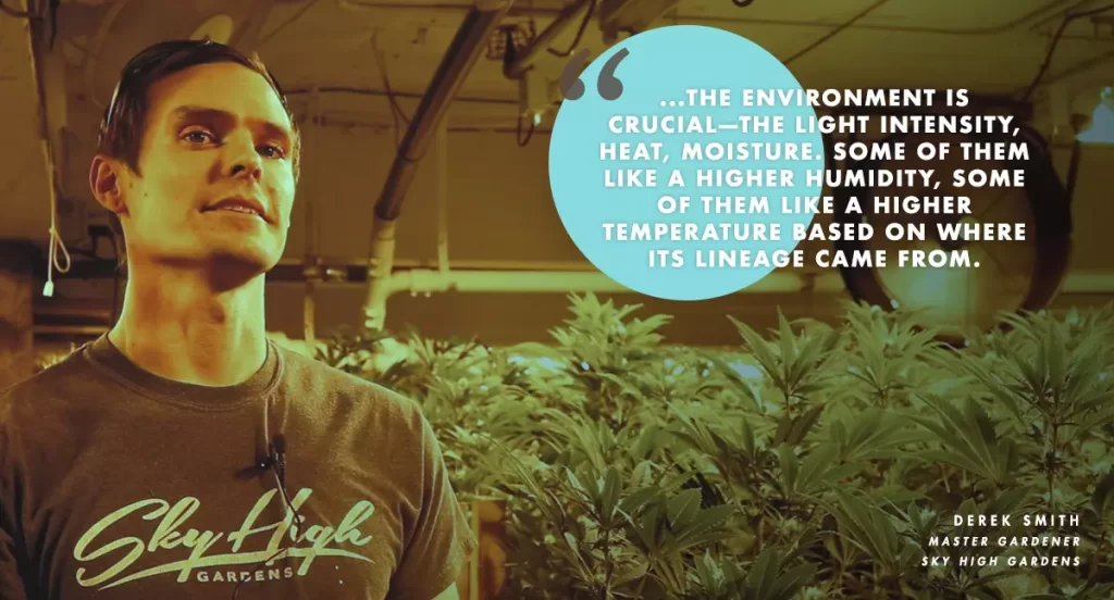 Sky High Gardens Employee Quote