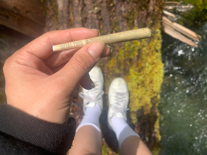 Blue striped hammock