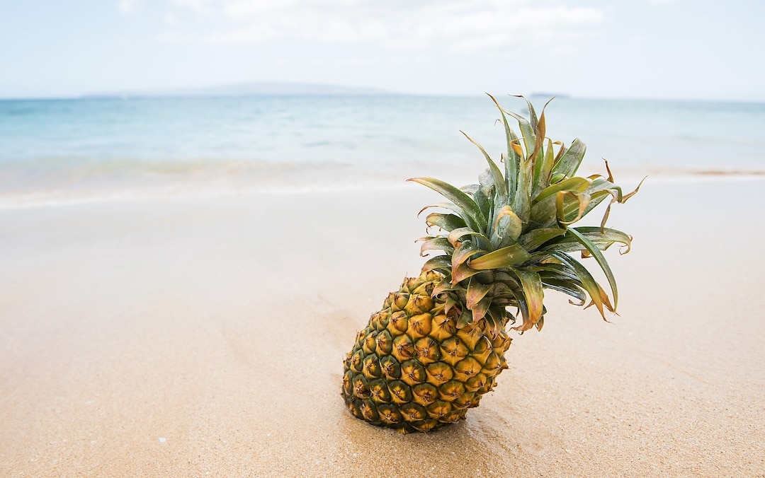 Fresh pineapple fruit on a tropical sandy beach to represent the strain Pineapple Express
