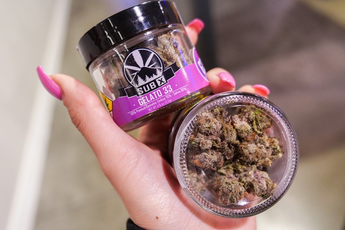 Gelato 33 Cannabis Strain by SubX