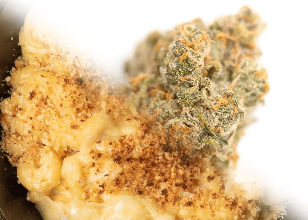 Guilded Unicorn meal and strain